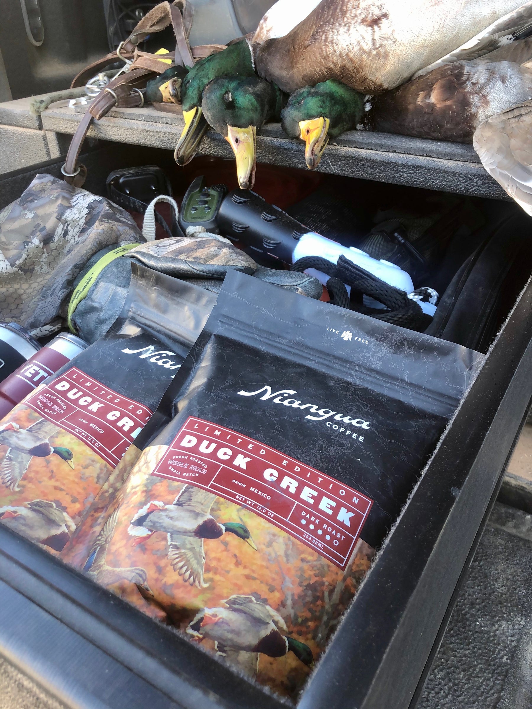 Current Coffee Roasts Niangua Coffee